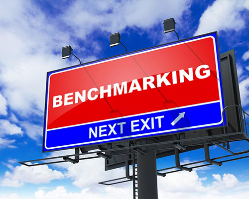 Benchmark & Best Practices: 2024 YOY Revenue