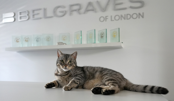 Belgraves of London