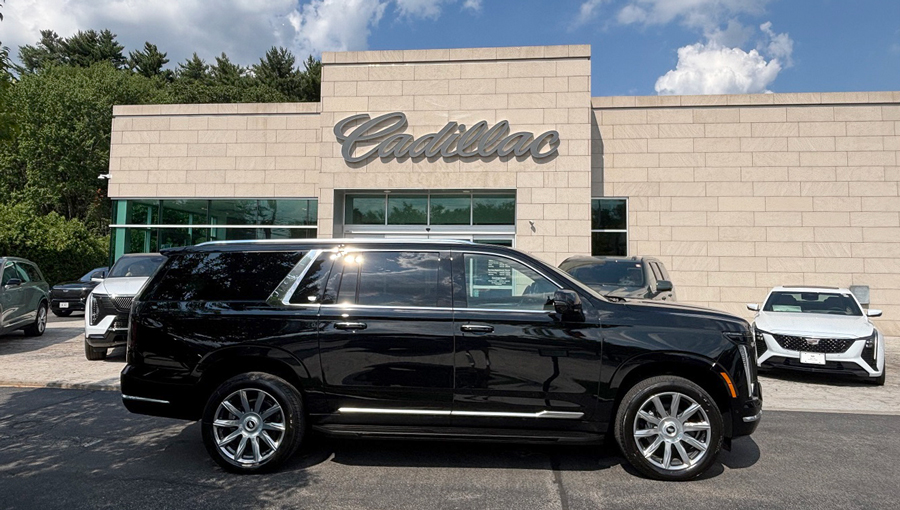 Buffalo Limousine
